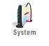 System